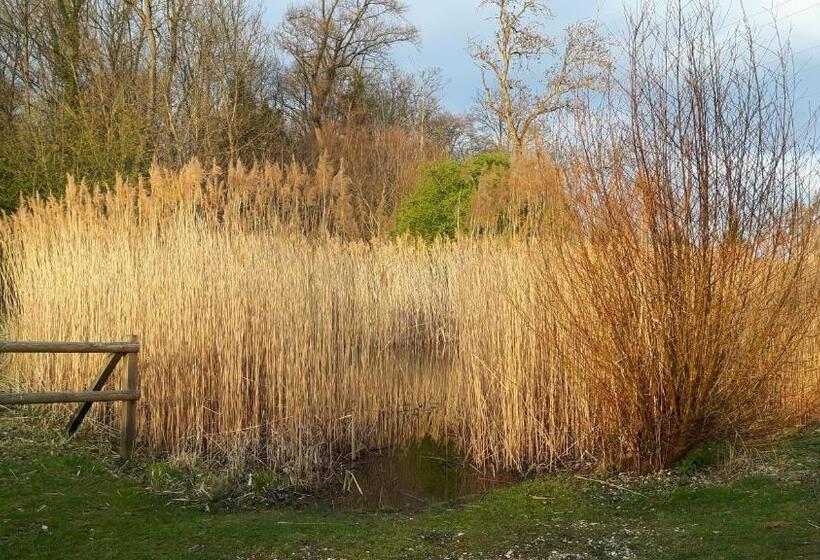 Bed and Breakfast Mybednbreakfast In Bottmingen