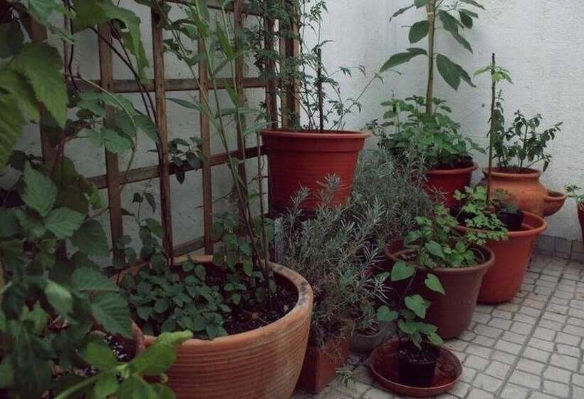 E Nove Lounge Hostel Caffe