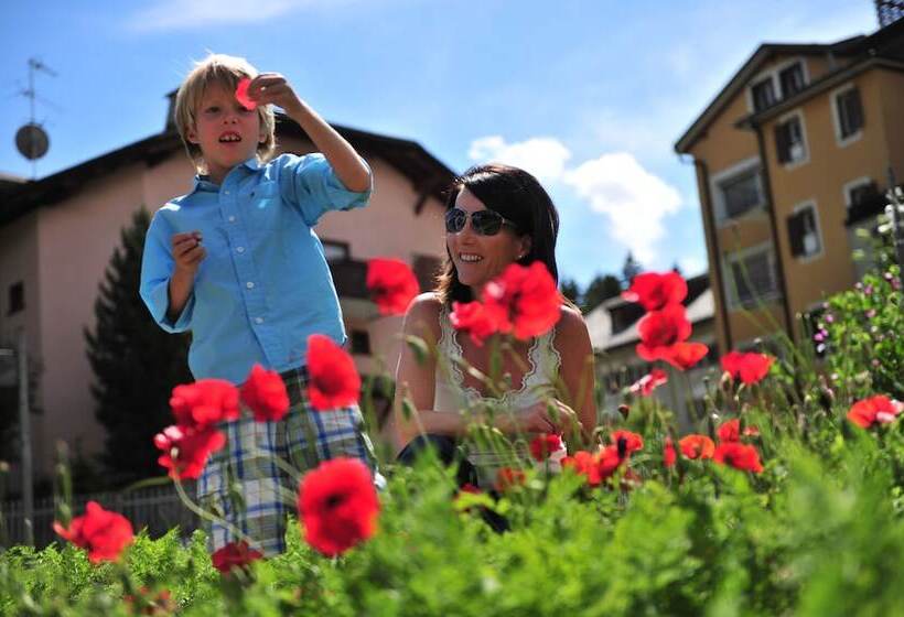 בית מלון כפרי Alpina Parpan