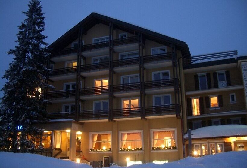 בית מלון כפרי Alpina Parpan