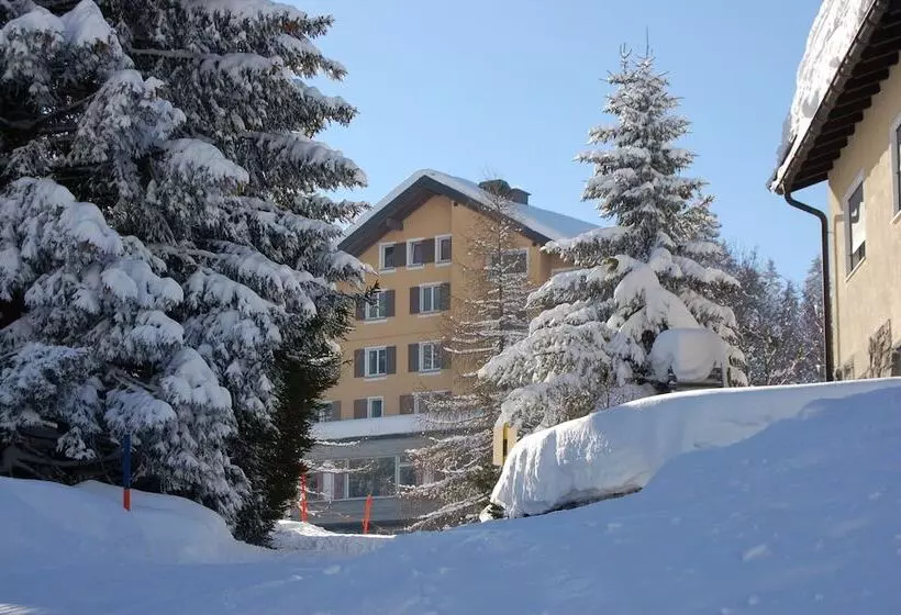 Hotelli Alpina Parpan