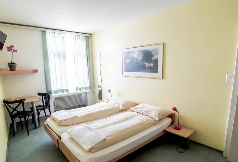 فندق & Backpackers Zak Schaffhausen