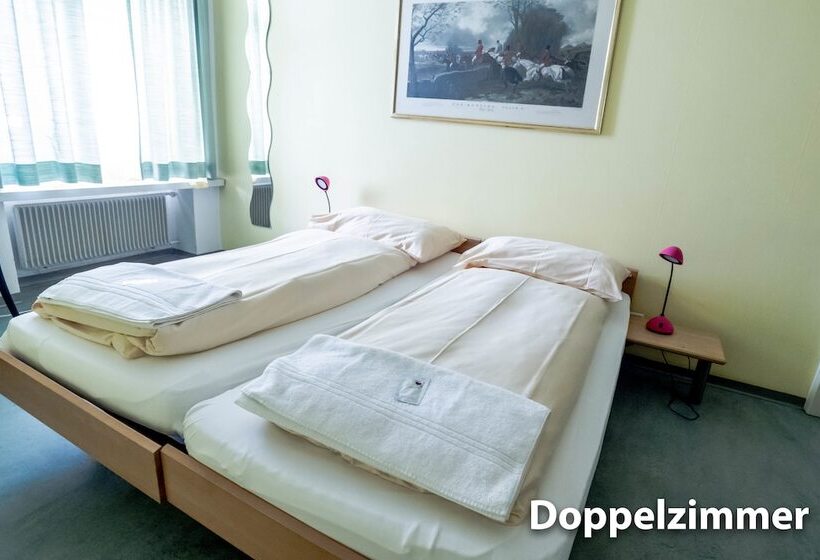 فندق & Backpackers Zak Schaffhausen