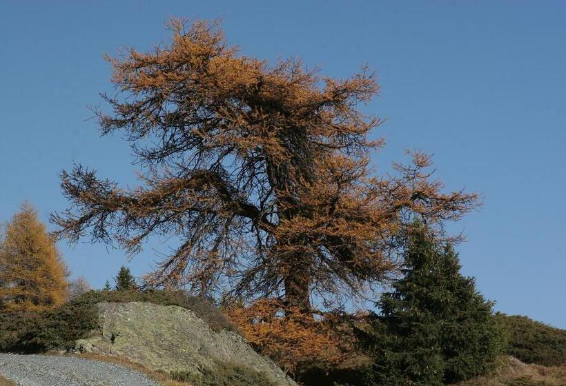 Hotel Bellavista Ftan