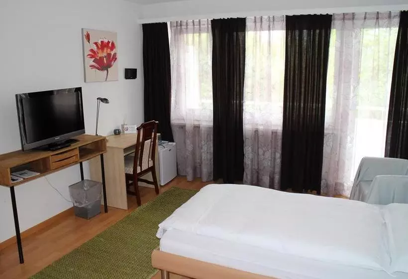 Hotelli City  Wettingen