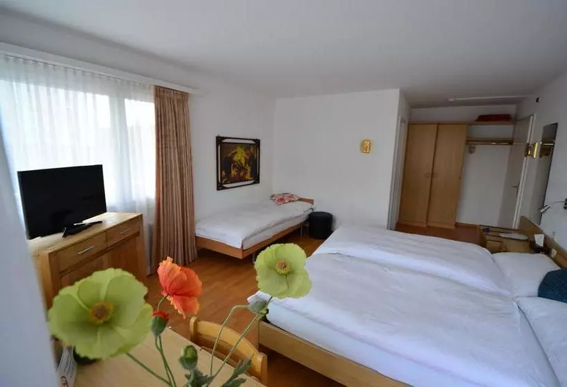 Hotelli City  Wettingen