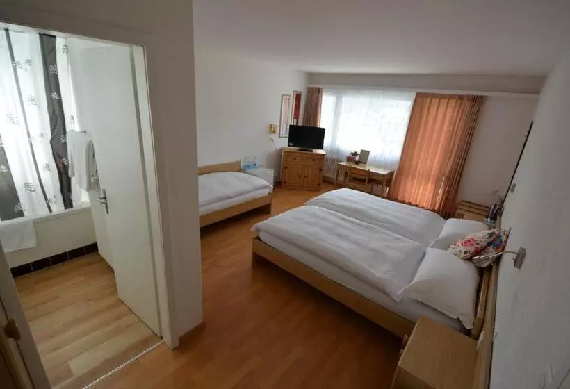 Hotelli City  Wettingen