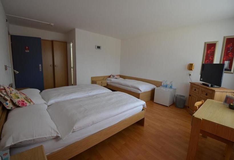 فندق City  Wettingen