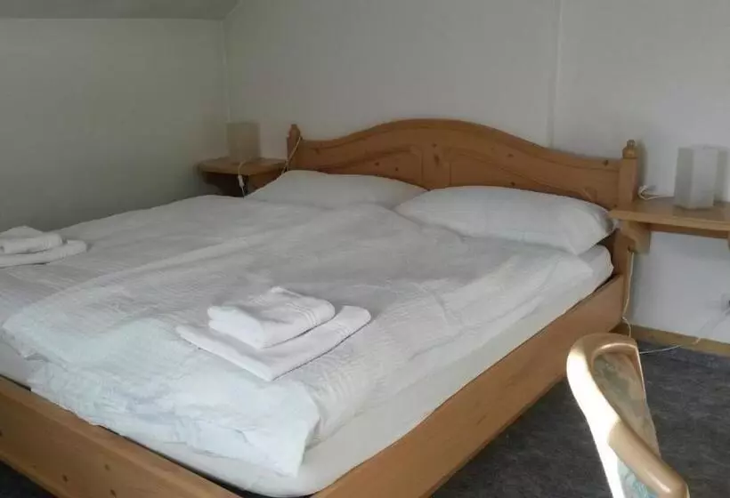 Hotel Danis
