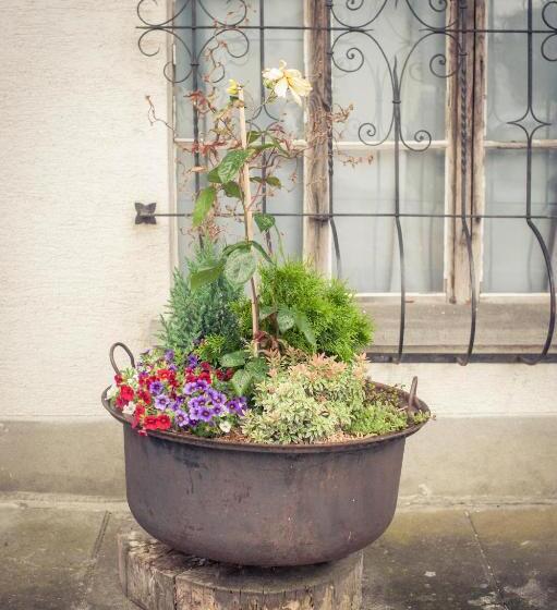 酒店 Gasthof Hirschen In Wilderswil