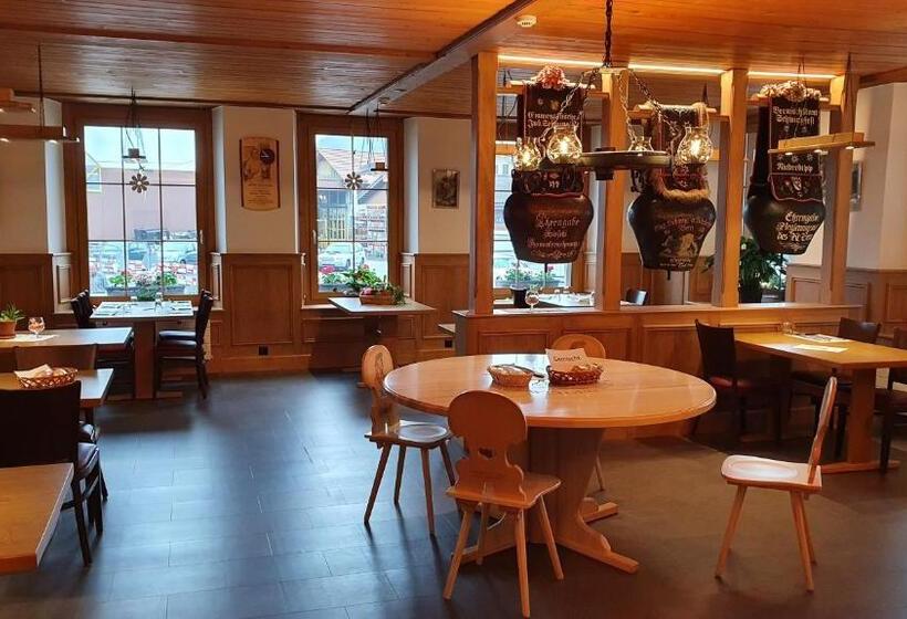 酒店 Gasthof Hirschen In Wilderswil