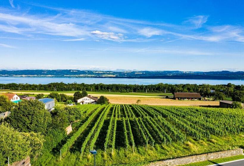 Отель Hôtel Restaurant Bellevue