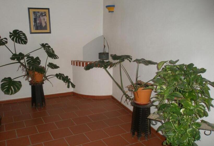 فندق Passagem Do Sol