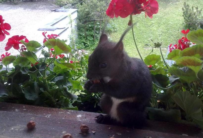 Hotel Pension Mezzaprada