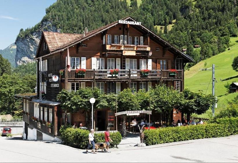 Отель Steinbock