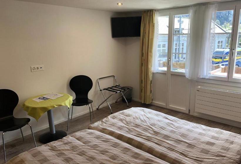 Отель Steinbock