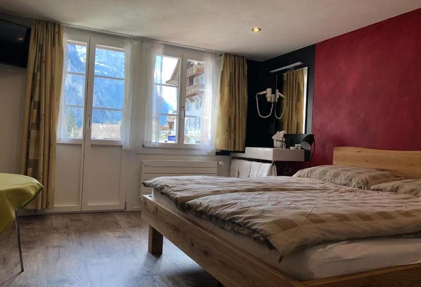 Отель Steinbock