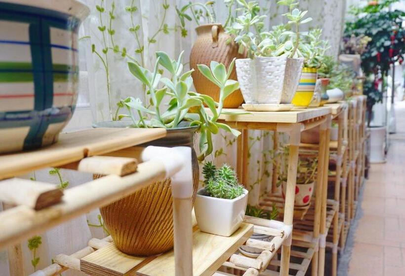 Общежитие 桂林时光驿青年客栈