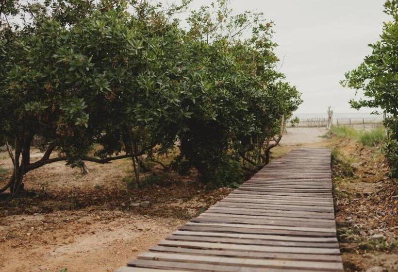 ホテル Tres Velas Surf