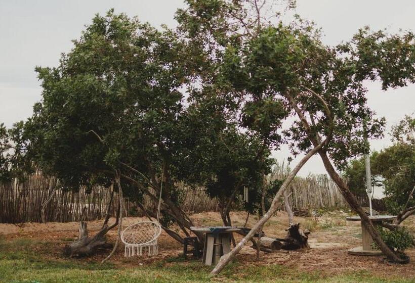 ホテル Tres Velas Surf