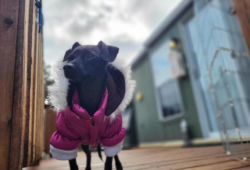 Pansiyon Cozy, Private Guest House With Fast Internet