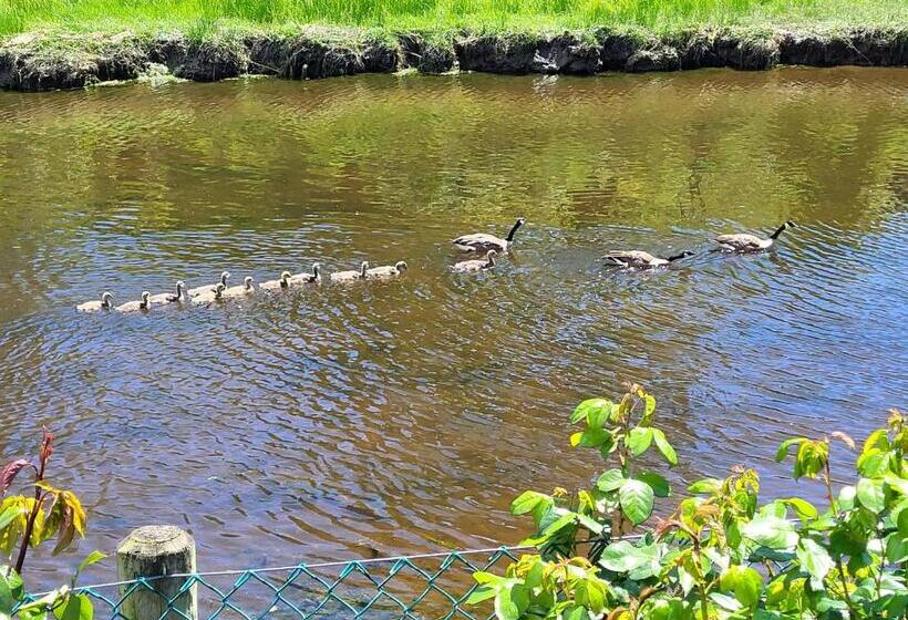 Pansiyon Cozy, Private Guest House With Fast Internet