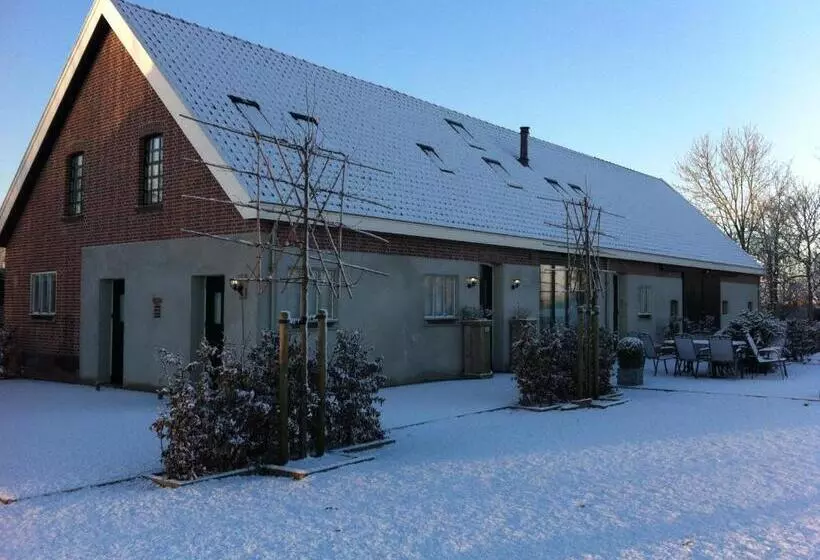 Aamiaismajoitus (B&B) De Nachtdijk
