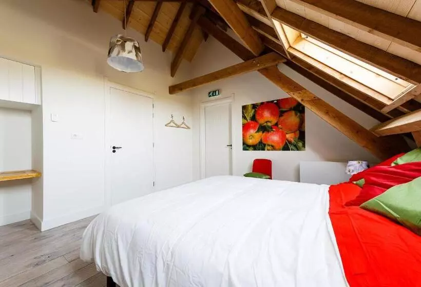 Aamiaismajoitus (B&B) De Nachtdijk