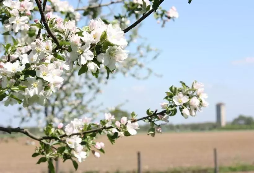 Aamiaismajoitus (B&B) De Nachtdijk