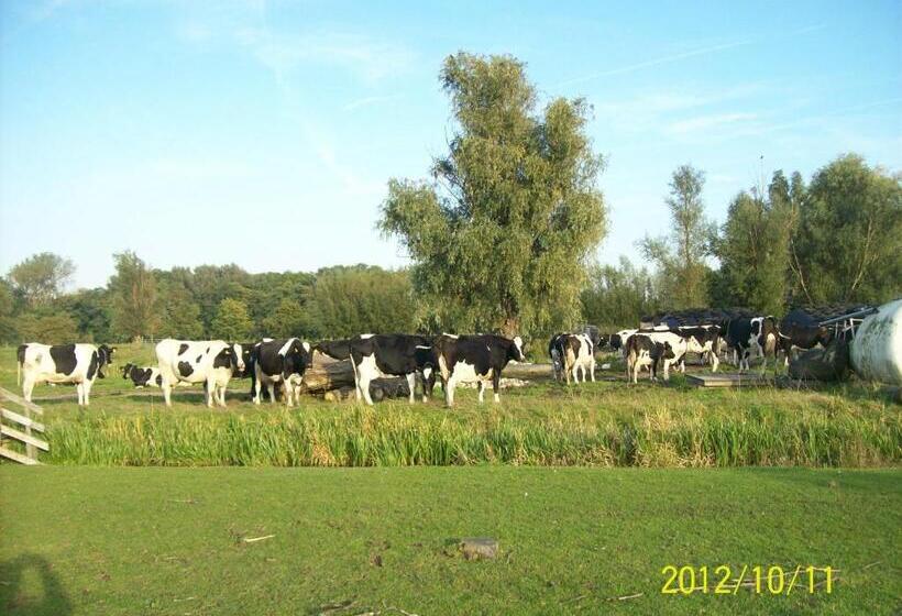 Bed and Breakfast Het Boenhok Logies