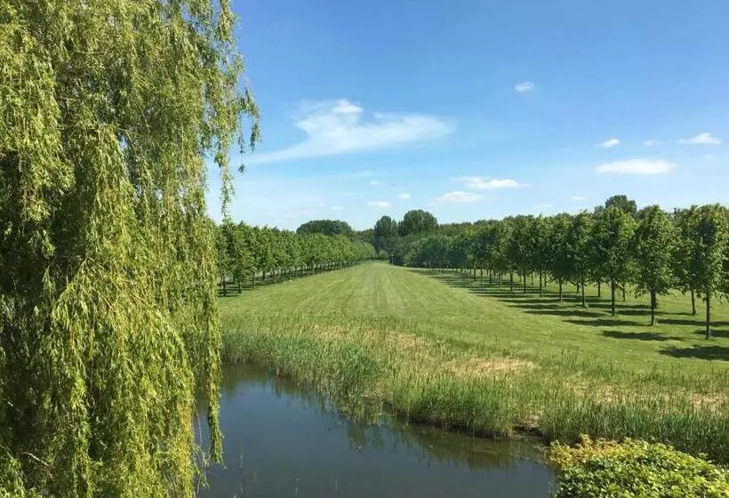 Bed and Breakfast Huis Van Steen
