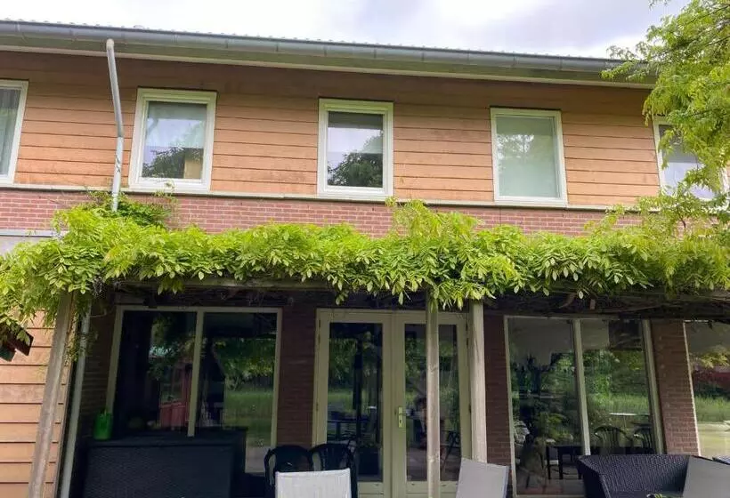 Bed and Breakfast Huis Van Steen