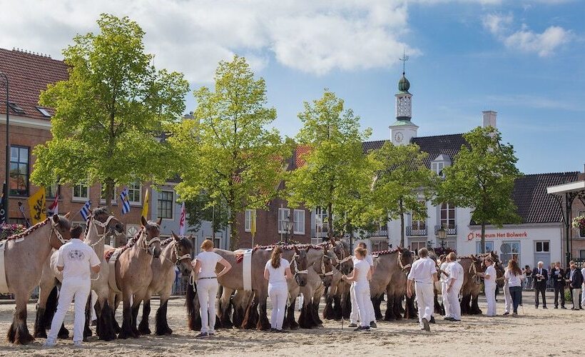 酒店 De Vier Heemskinderen