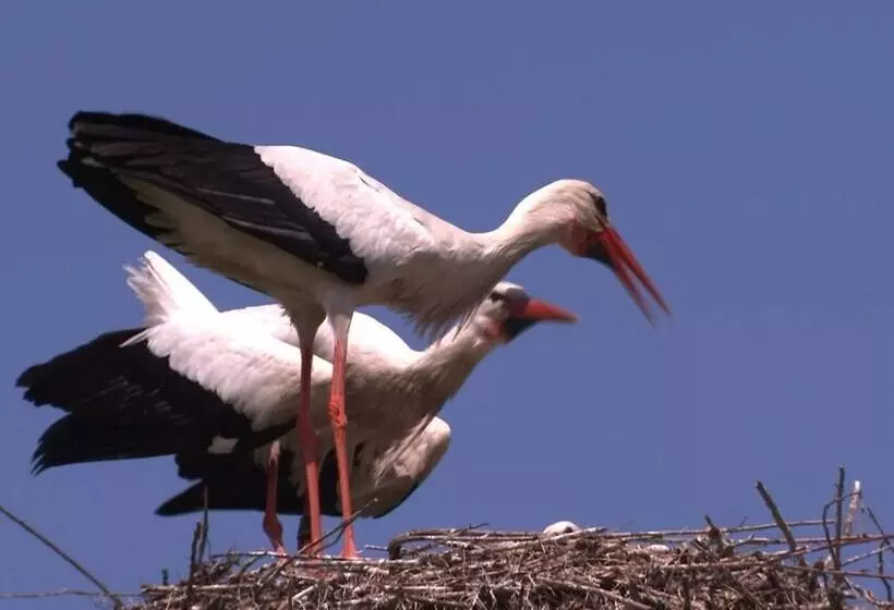 Hotelli De Vier Heemskinderen