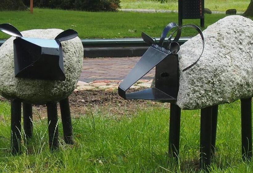 酒店 Wapen Van Exloo