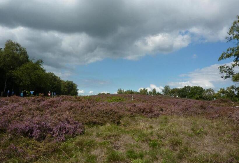 酒店 Wapen Van Exloo