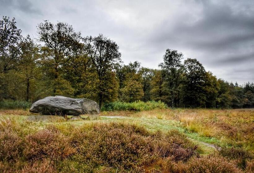 酒店 Wapen Van Exloo