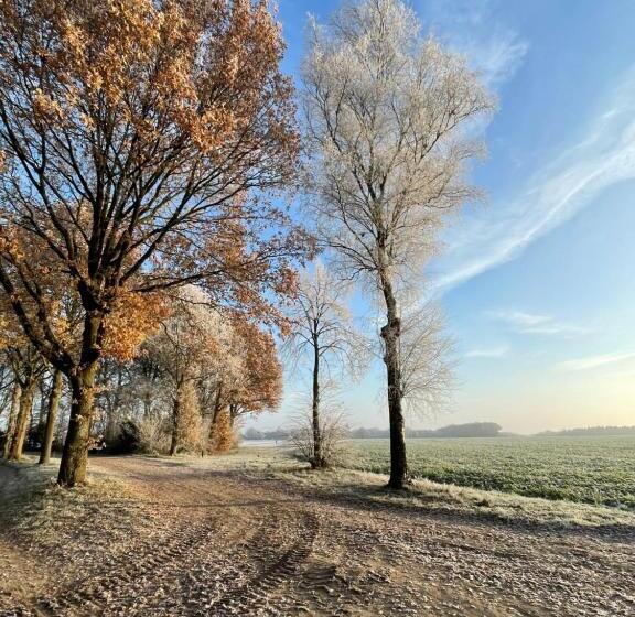 酒店 Wapen Van Exloo