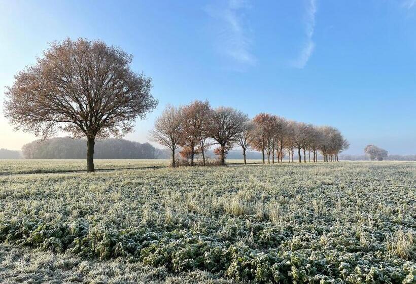 酒店 Wapen Van Exloo