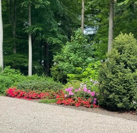 レジデンス Villa Rozenhof