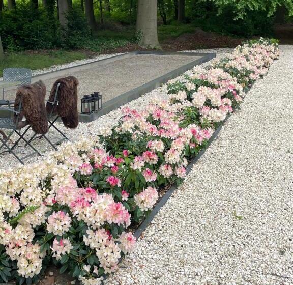 住所 Villa Rozenhof