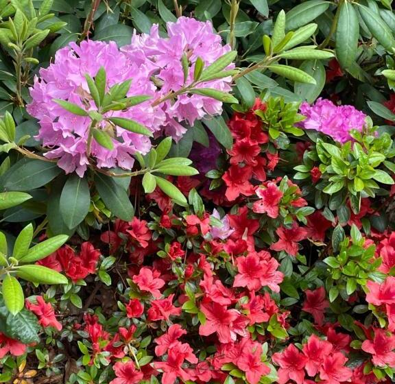 住所 Villa Rozenhof