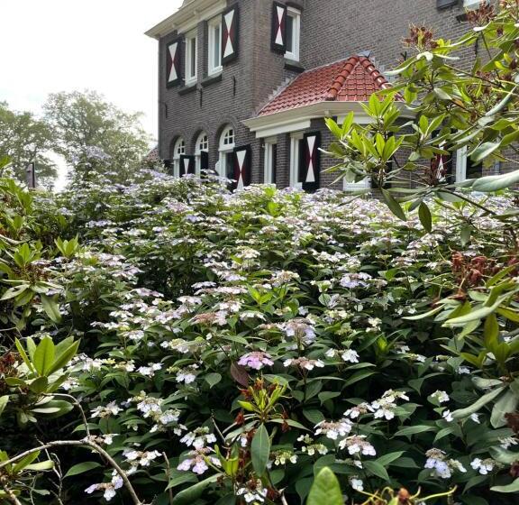 住所 Villa Rozenhof