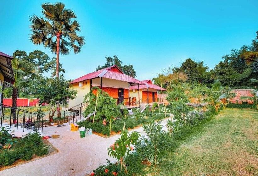 Kokomo Sunset Resort