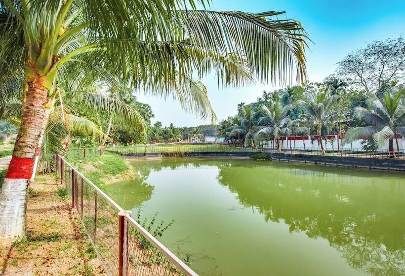 Kokomo Sunset Resort