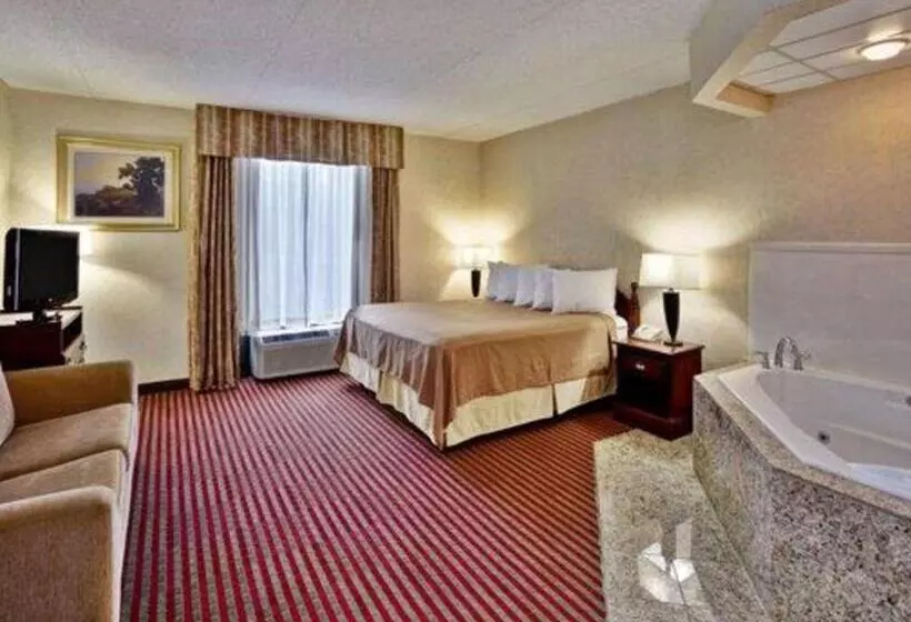 ホテル Quality Inn & Suites