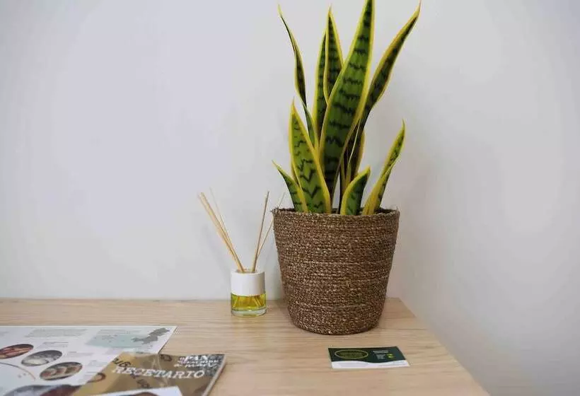 Majatalo A Quinta De Cea