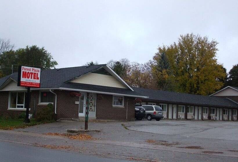 Forest Plaza Motel