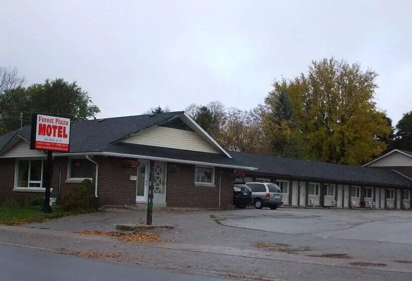 Forest Plaza Motel