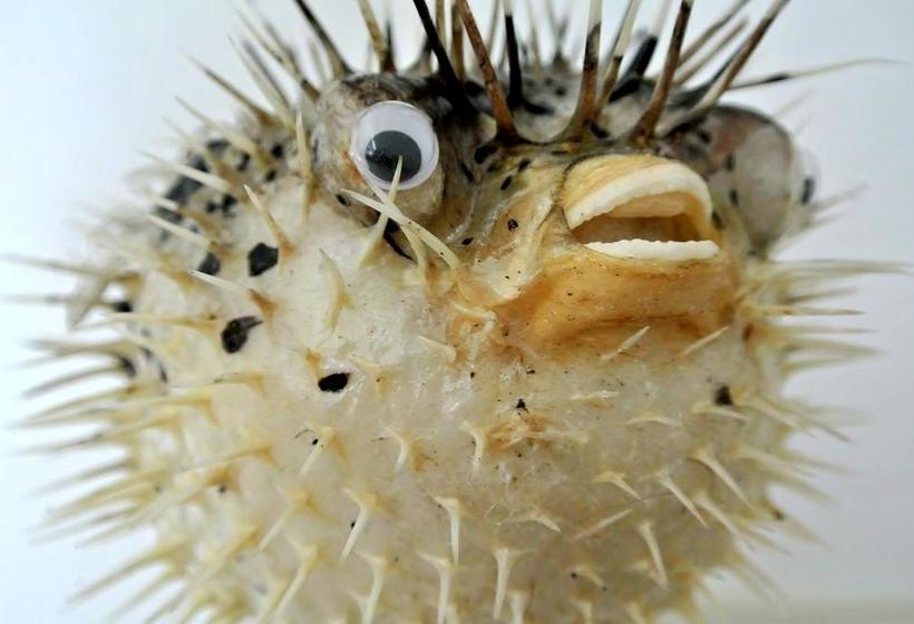 호텔 B&b Altijd Wad